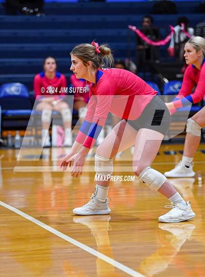 Thumbnail 1 in Snook vs Hearne photogallery.