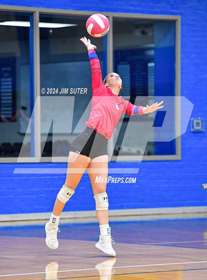 Thumbnail 1 in Snook vs Hearne photogallery.