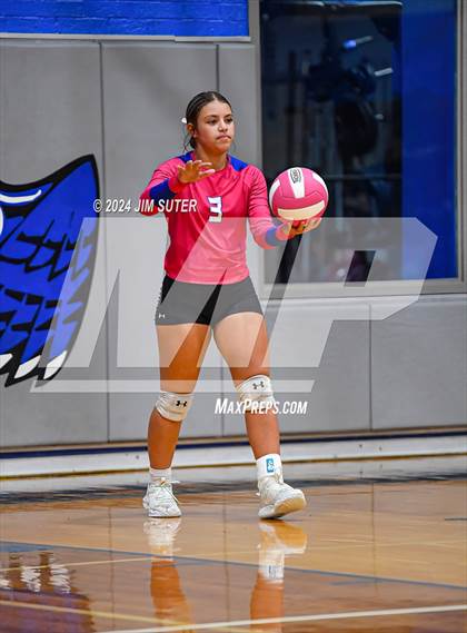 Thumbnail 1 in Snook vs Hearne photogallery.