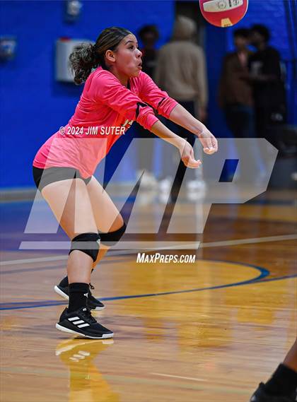 Thumbnail 3 in Snook vs Hearne photogallery.
