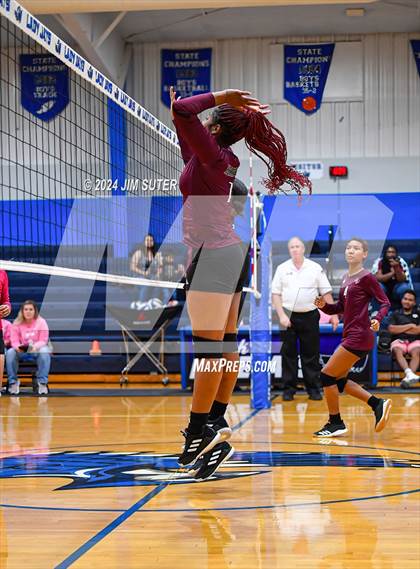 Thumbnail 3 in Snook vs Hearne photogallery.