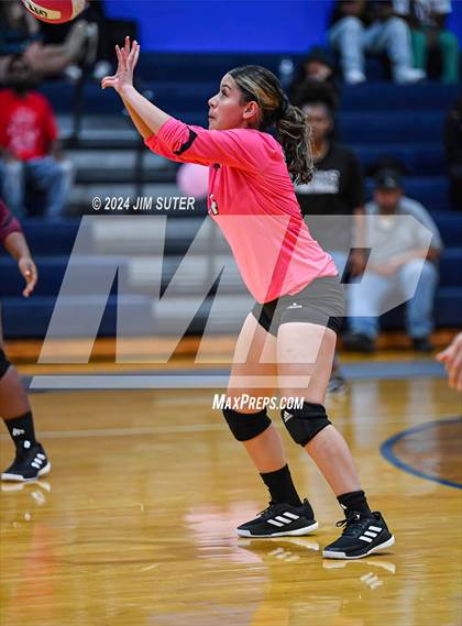 Thumbnail 3 in Snook vs Hearne photogallery.