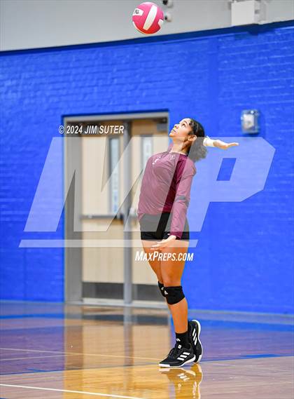 Thumbnail 1 in Snook vs Hearne photogallery.