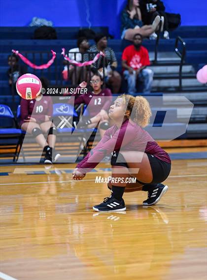 Thumbnail 3 in Snook vs Hearne photogallery.