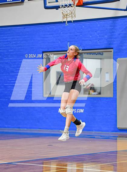 Thumbnail 1 in Snook vs Hearne photogallery.