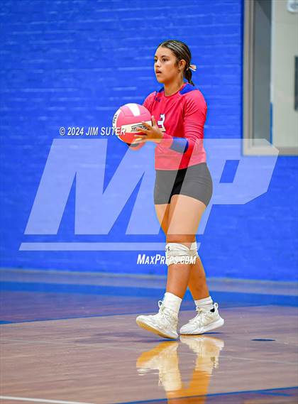 Thumbnail 1 in Snook vs Hearne photogallery.