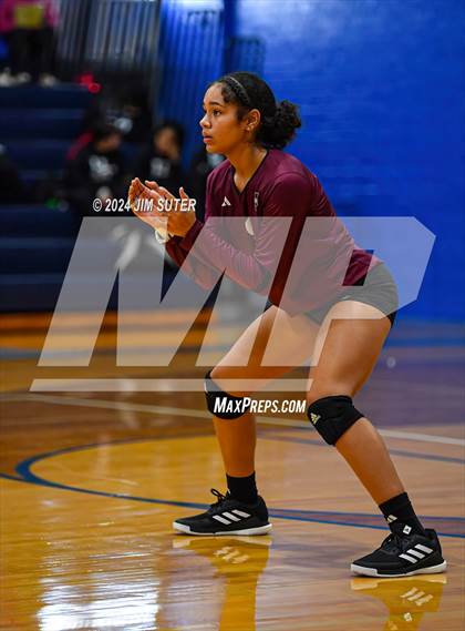 Thumbnail 1 in Snook vs Hearne photogallery.