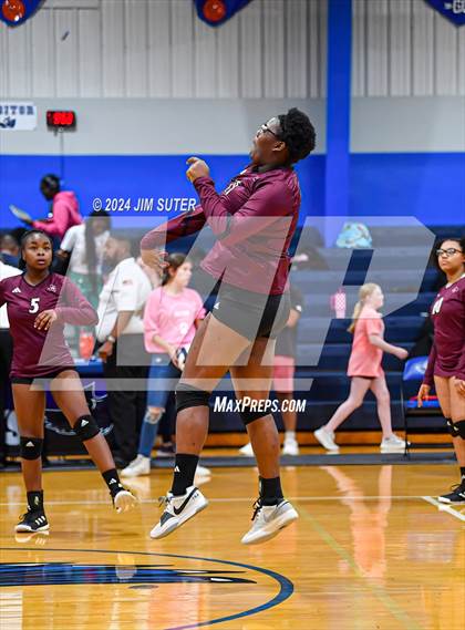 Thumbnail 1 in Snook vs Hearne photogallery.