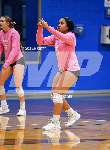 Thumbnail 1 in Snook vs Hearne photogallery.