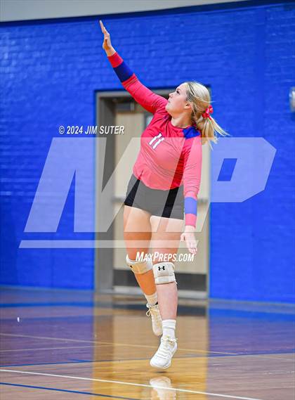 Thumbnail 3 in Snook vs Hearne photogallery.