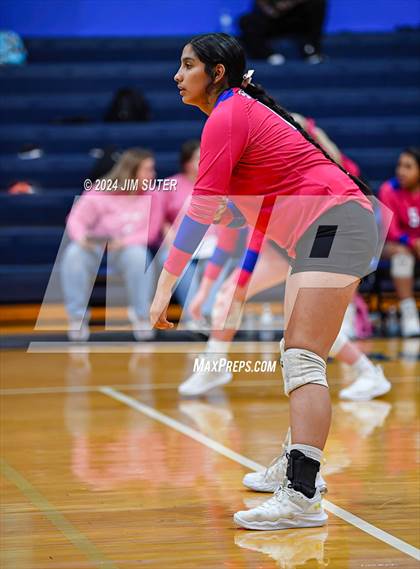 Thumbnail 1 in Snook vs Hearne photogallery.