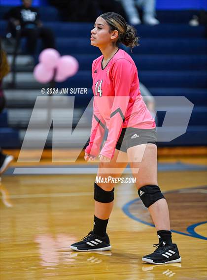 Thumbnail 1 in Snook vs Hearne photogallery.