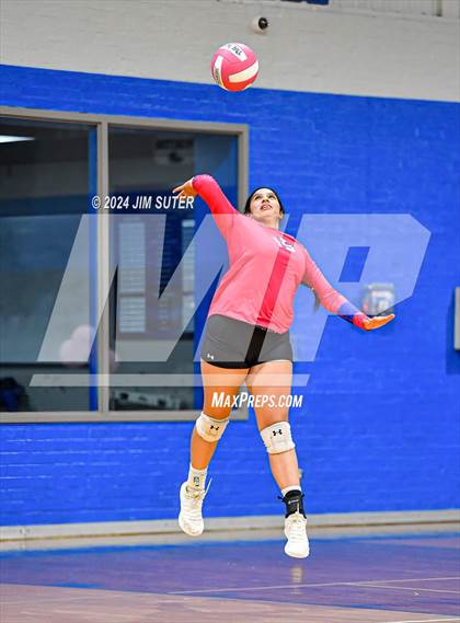 Thumbnail 1 in Snook vs Hearne photogallery.