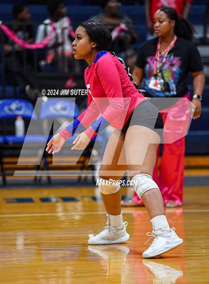 Thumbnail 1 in Snook vs Hearne photogallery.