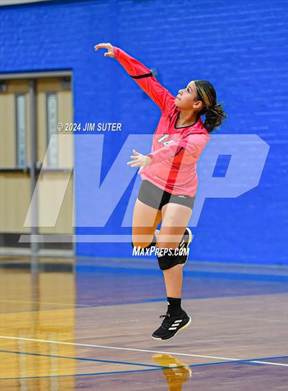 Thumbnail 1 in Snook vs Hearne photogallery.