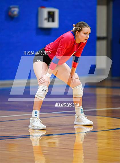 Thumbnail 1 in Snook vs Hearne photogallery.