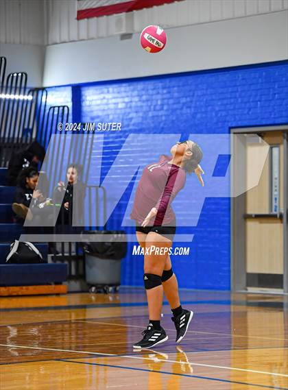 Thumbnail 3 in Snook vs Hearne photogallery.