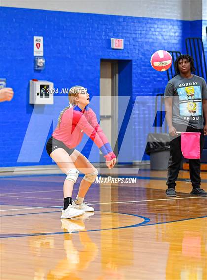 Thumbnail 1 in Snook vs Hearne photogallery.