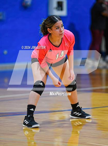 Thumbnail 1 in Snook vs Hearne photogallery.