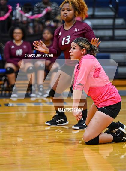 Thumbnail 1 in Snook vs Hearne photogallery.