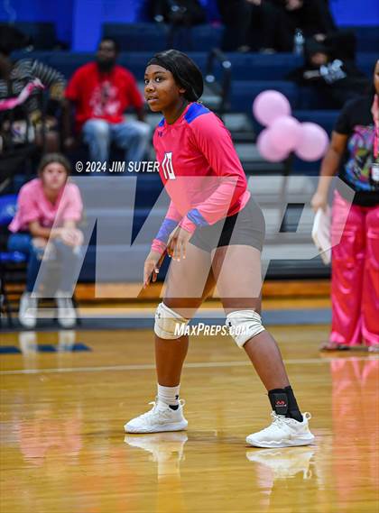 Thumbnail 1 in Snook vs Hearne photogallery.