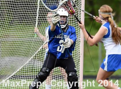 Thumbnail 2 in Edgemont @ North Salem (Section 1 Class C Quarterfinal) photogallery.