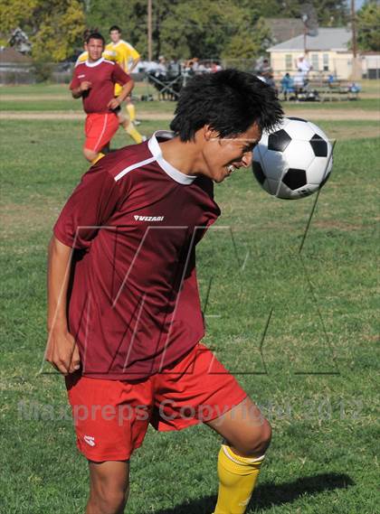 Thumbnail 2 in Golden Sierra @ Encina Prep photogallery.