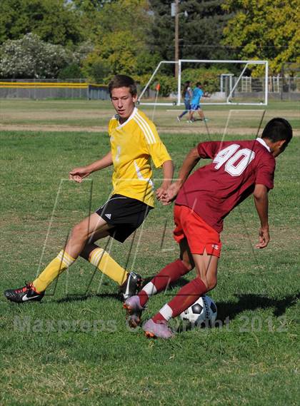 Thumbnail 2 in Golden Sierra @ Encina Prep photogallery.