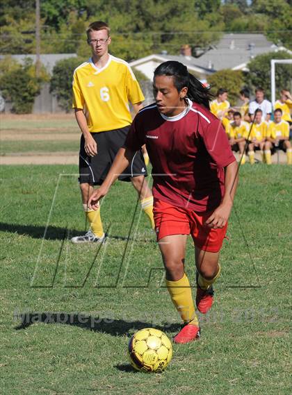 Thumbnail 3 in Golden Sierra @ Encina Prep photogallery.
