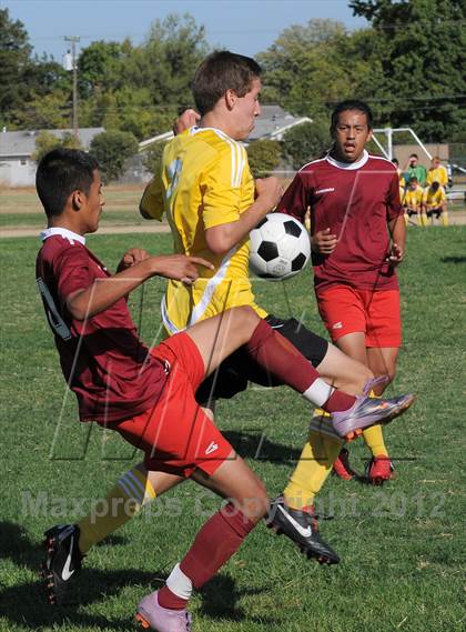 Thumbnail 3 in Golden Sierra @ Encina Prep photogallery.