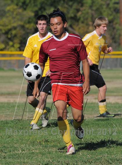 Thumbnail 3 in Golden Sierra @ Encina Prep photogallery.