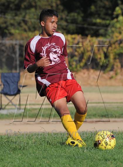 Thumbnail 3 in Golden Sierra @ Encina Prep photogallery.