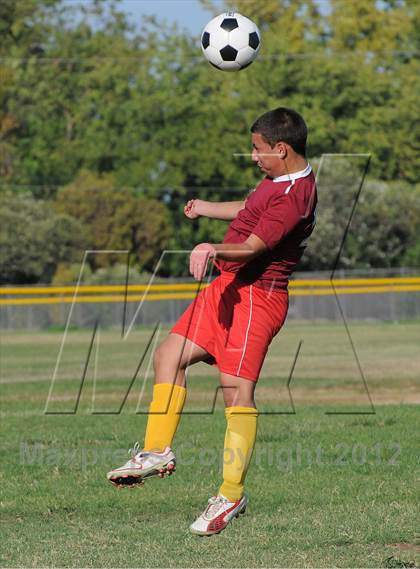 Thumbnail 3 in Golden Sierra @ Encina Prep photogallery.