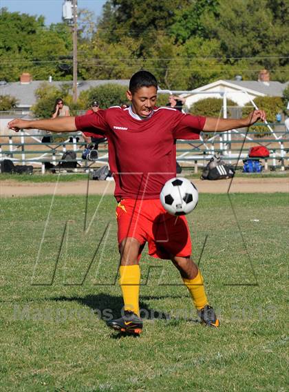 Thumbnail 1 in Golden Sierra @ Encina Prep photogallery.