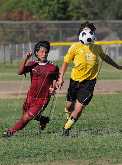 Thumbnail 2 in Golden Sierra @ Encina Prep photogallery.