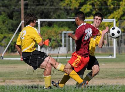 Thumbnail 3 in Golden Sierra @ Encina Prep photogallery.