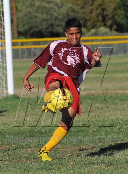 Thumbnail 3 in Golden Sierra @ Encina Prep photogallery.