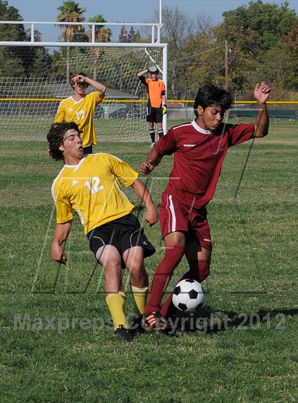 Thumbnail 2 in Golden Sierra @ Encina Prep photogallery.