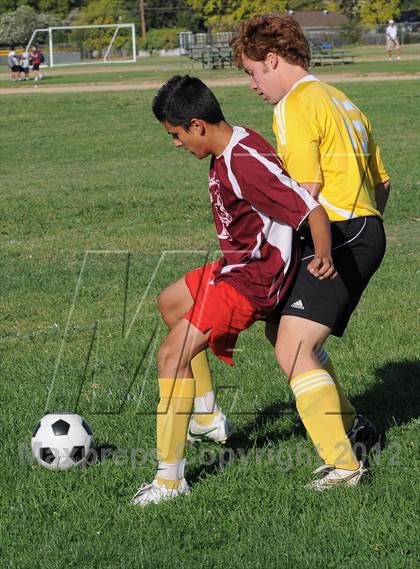 Thumbnail 3 in Golden Sierra @ Encina Prep photogallery.