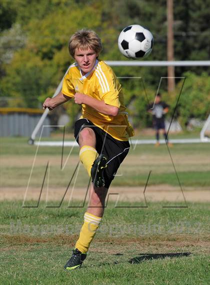 Thumbnail 1 in Golden Sierra @ Encina Prep photogallery.