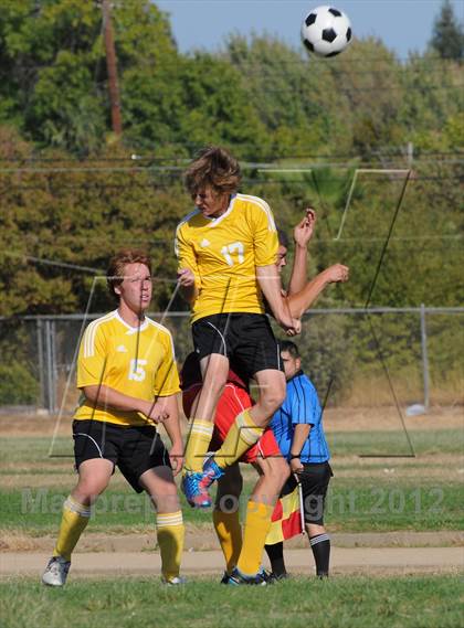 Thumbnail 2 in Golden Sierra @ Encina Prep photogallery.