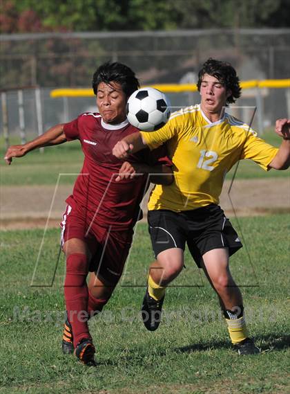 Thumbnail 3 in Golden Sierra @ Encina Prep photogallery.