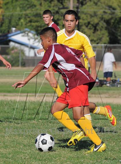 Thumbnail 2 in Golden Sierra @ Encina Prep photogallery.