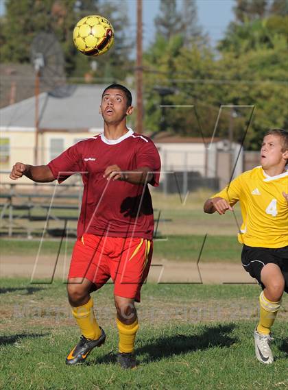 Thumbnail 2 in Golden Sierra @ Encina Prep photogallery.