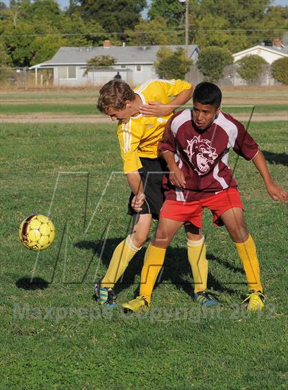 Thumbnail 2 in Golden Sierra @ Encina Prep photogallery.