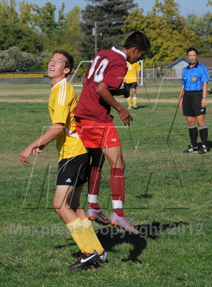 Thumbnail 2 in Golden Sierra @ Encina Prep photogallery.