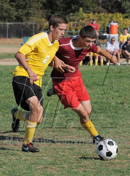 Thumbnail 3 in Golden Sierra @ Encina Prep photogallery.