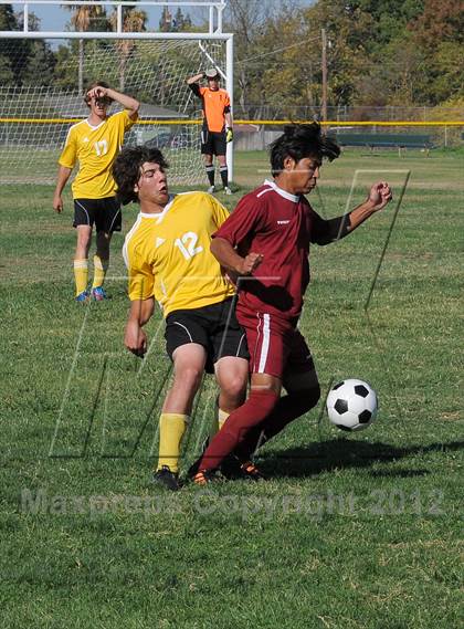 Thumbnail 3 in Golden Sierra @ Encina Prep photogallery.