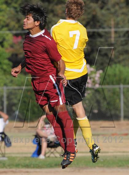 Thumbnail 3 in Golden Sierra @ Encina Prep photogallery.