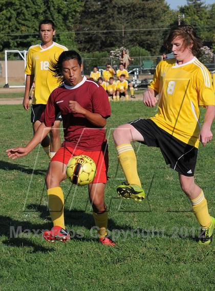 Thumbnail 1 in Golden Sierra @ Encina Prep photogallery.